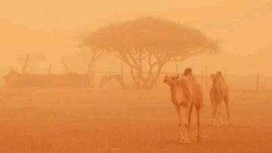 صورة الأرصاد الجوية: عواصف رملية في إتجاه لعصابه وتساقطات خفيفة على جنوب الحوضين