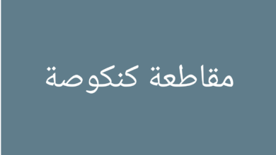 صورة بعد رحيل الزعيم كابه ولد اعليوه ، مخاوف لدى البعض من إستحواذ أنصار النائب بيرام الداه أعبيد على الساحة 